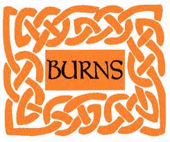 burns.jpg